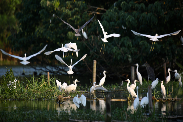 图片2.png c27318f4184d4bc2bb41f558ffc5af39.png