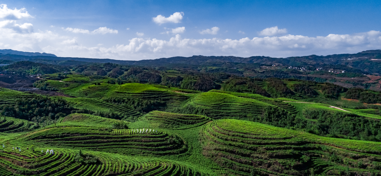 1057024631a244e48e76b32fa22d7461.jpeg 1057024631a244e48e76b32fa22d7461.jpeg