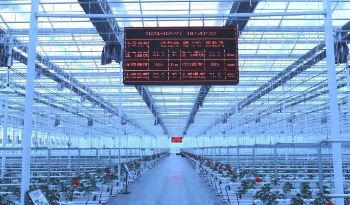 41a61e86f8c94512825293c3a00e8370.png 41a61e86f8c94512825293c3a00e8370.png