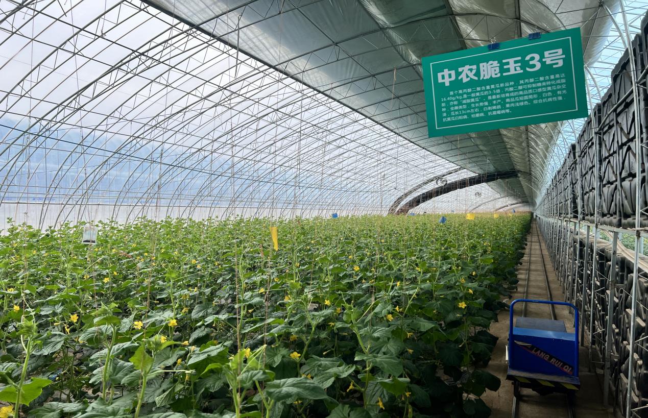 cfd0eb832ed8478abc161d4afe91623e.jpeg cfd0eb832ed8478abc161d4afe91623e.jpeg