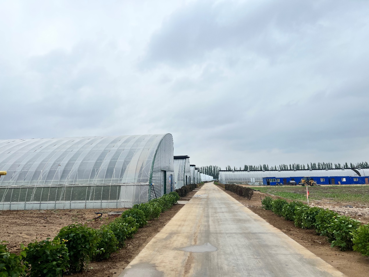 c206f3f125b7485280bc29bbc1920642.jpeg c206f3f125b7485280bc29bbc1920642.jpeg