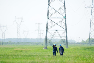 666666de8b3e3.png 666666de8b3e3.png