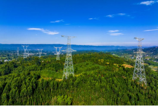 777777c6d4d30.png 777777c6d4d30.png