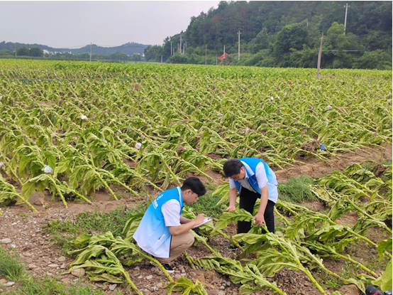 640 (1).png c9a2361f9f1b4a21a20c4afa7a0a4eb1.png