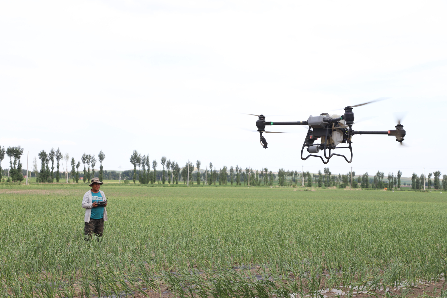 7662945c7fd348d9926d3435ae05c3b7.jpeg 7662945c7fd348d9926d3435ae05c3b7.jpeg