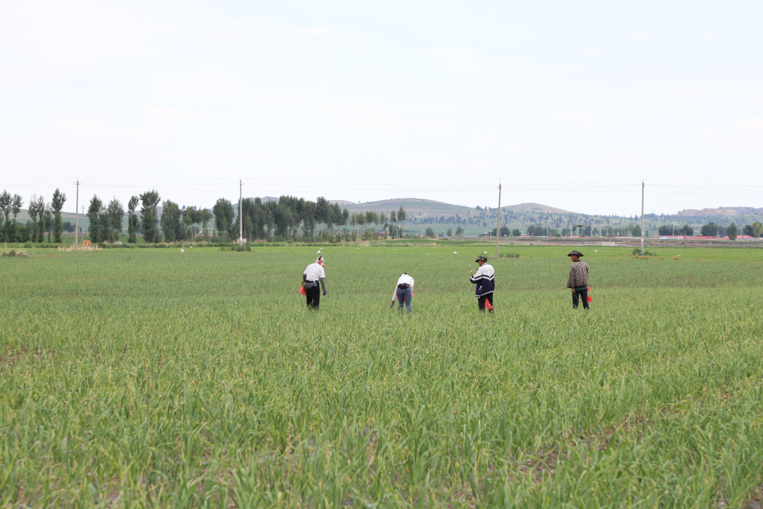 c75df77a87e240e5b37fe9944ec6531b.jpeg c75df77a87e240e5b37fe9944ec6531b.jpeg