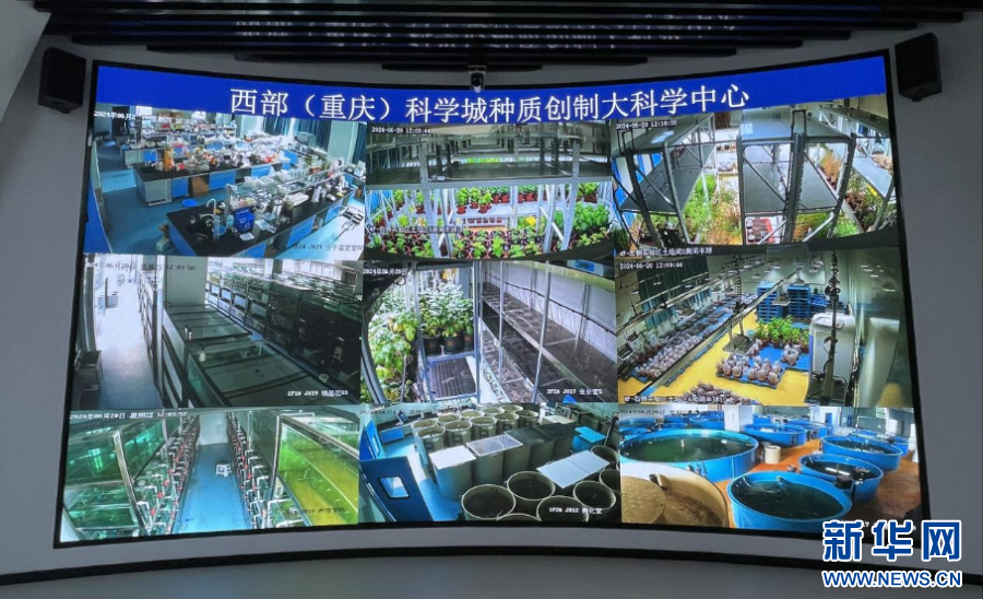 230713414669119489.jpg 230713414669119489.jpg