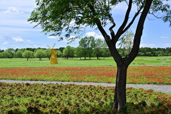 7.jpg a9eb8b1335d24e89b72d134fe7926717.jpeg