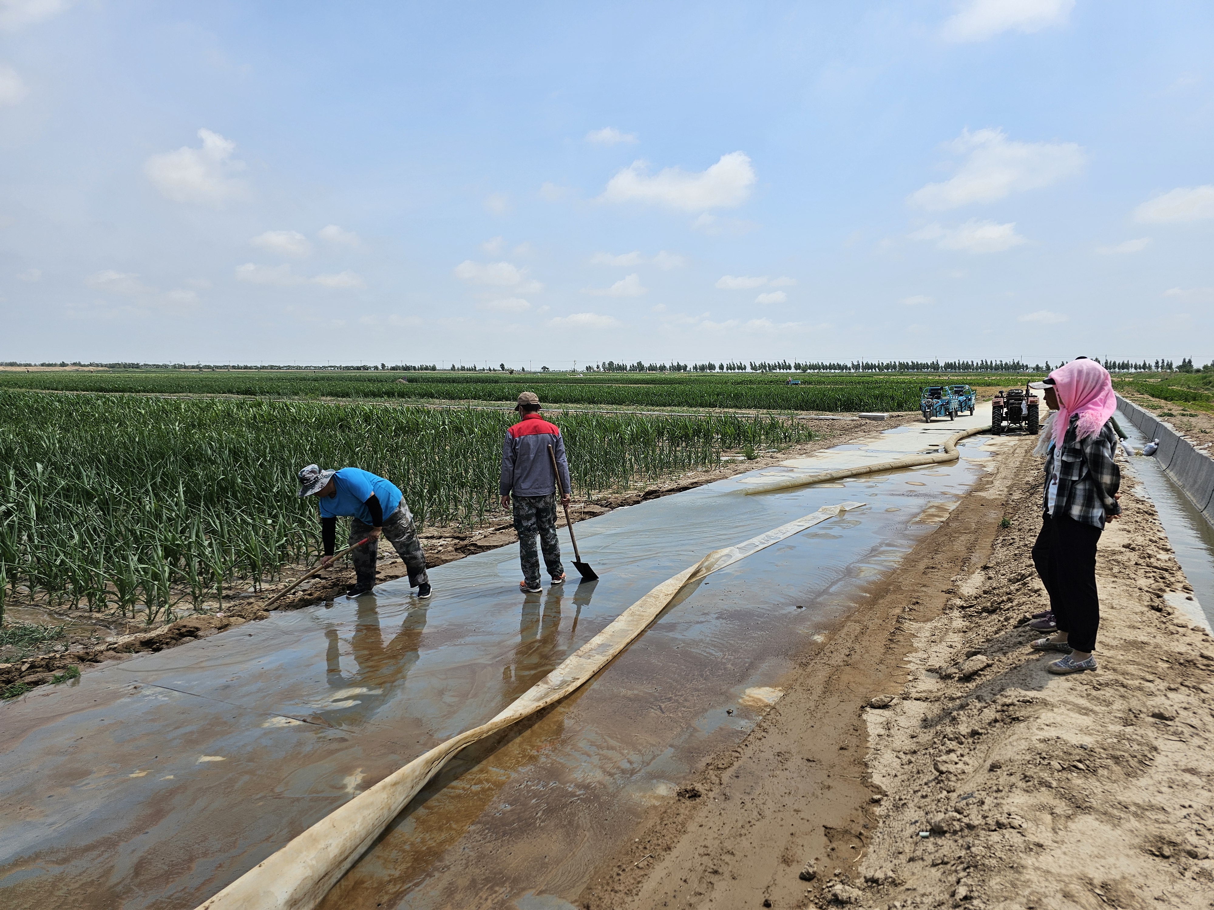 231509729690857472.jpg 231509729690857472.jpg