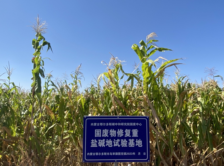 30568cdff8274bd885374604d965410f.png 30568cdff8274bd885374604d965410f.png