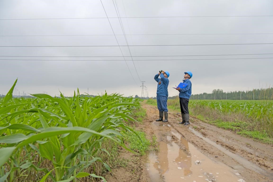 6.jpg 2a0e0230333e43efbec4d21ebf837887.jpeg