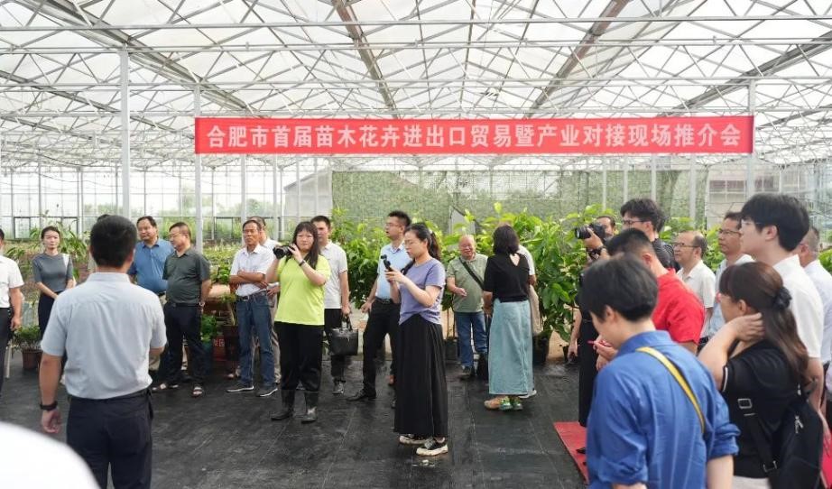 5.jpg 17a311162405450694999b23e4ab0418.jpeg