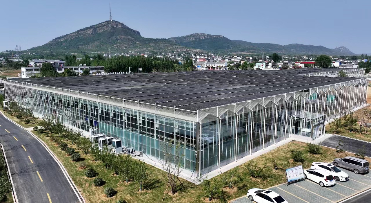 微信图片_20240722102418.jpg 微信图片_20240722102418.jpg