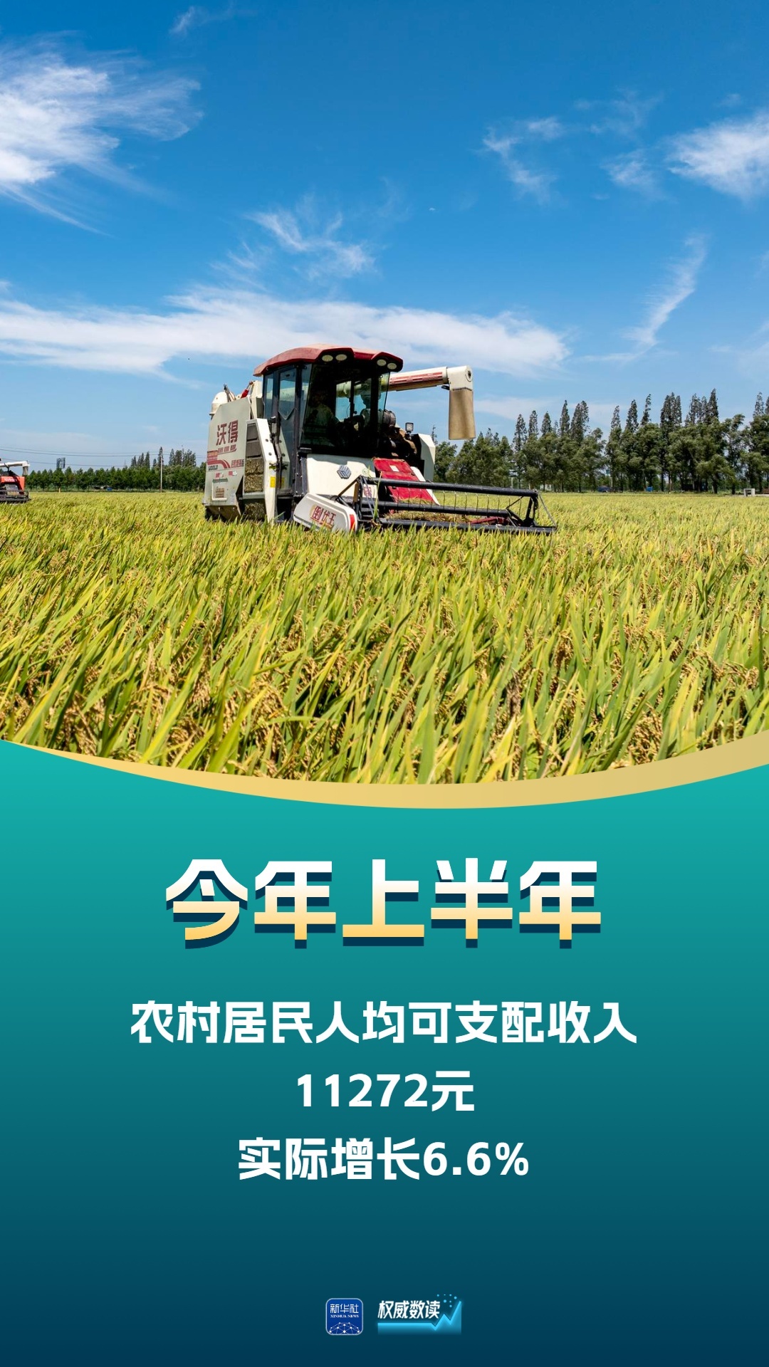 240953825698131969.jpg 240953825698131969.jpg