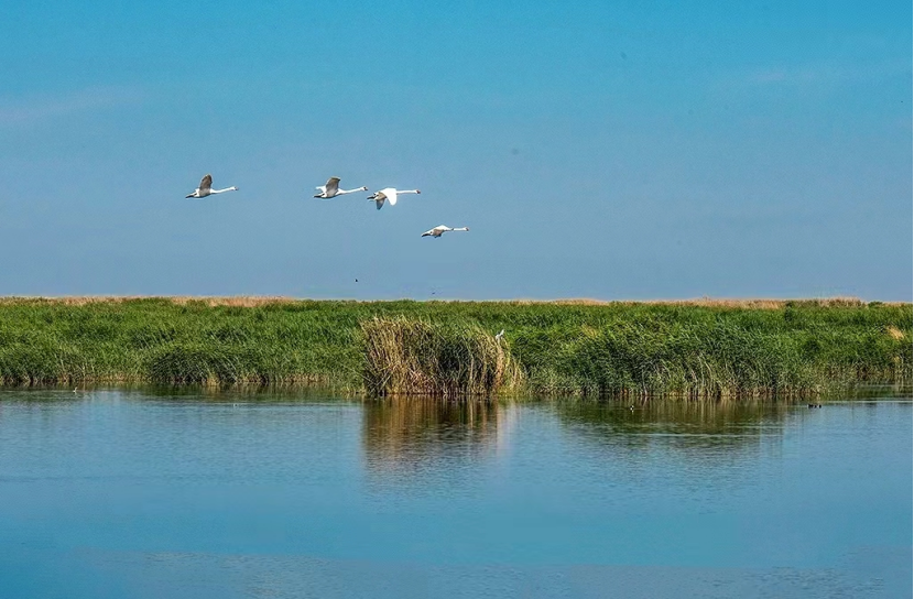 19ecaeb57215492fbdcdfe148f27ede1.png 19ecaeb57215492fbdcdfe148f27ede1.png