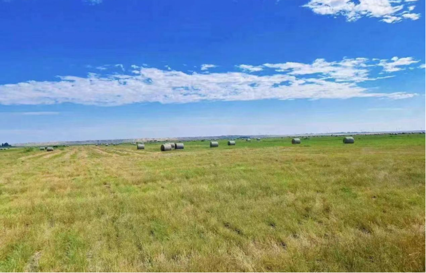 cd31f680db3648ee98d694921bd30fcb.png cd31f680db3648ee98d694921bd30fcb.png