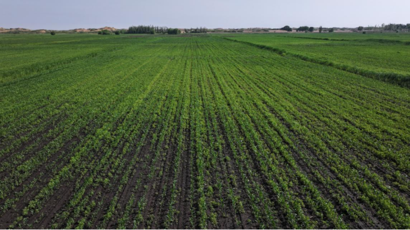 73c3c53e05ef4e45ba9943c5268a27b8.png 73c3c53e05ef4e45ba9943c5268a27b8.png