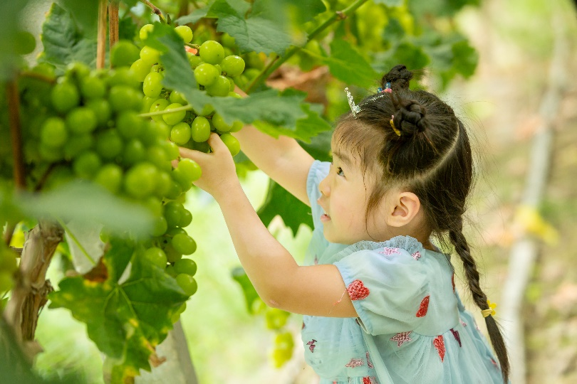 图片1.png 420e6f0f125b4fc4a90c01dcb88b2ee4.png