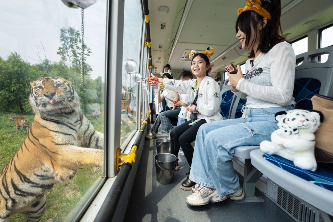 哈尔滨10.png 哈尔滨10.png