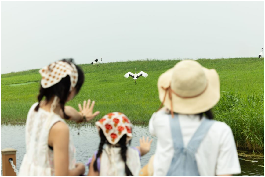 254214402ff541c5bc3c72b623b0dcd4.png 254214402ff541c5bc3c72b623b0dcd4.png