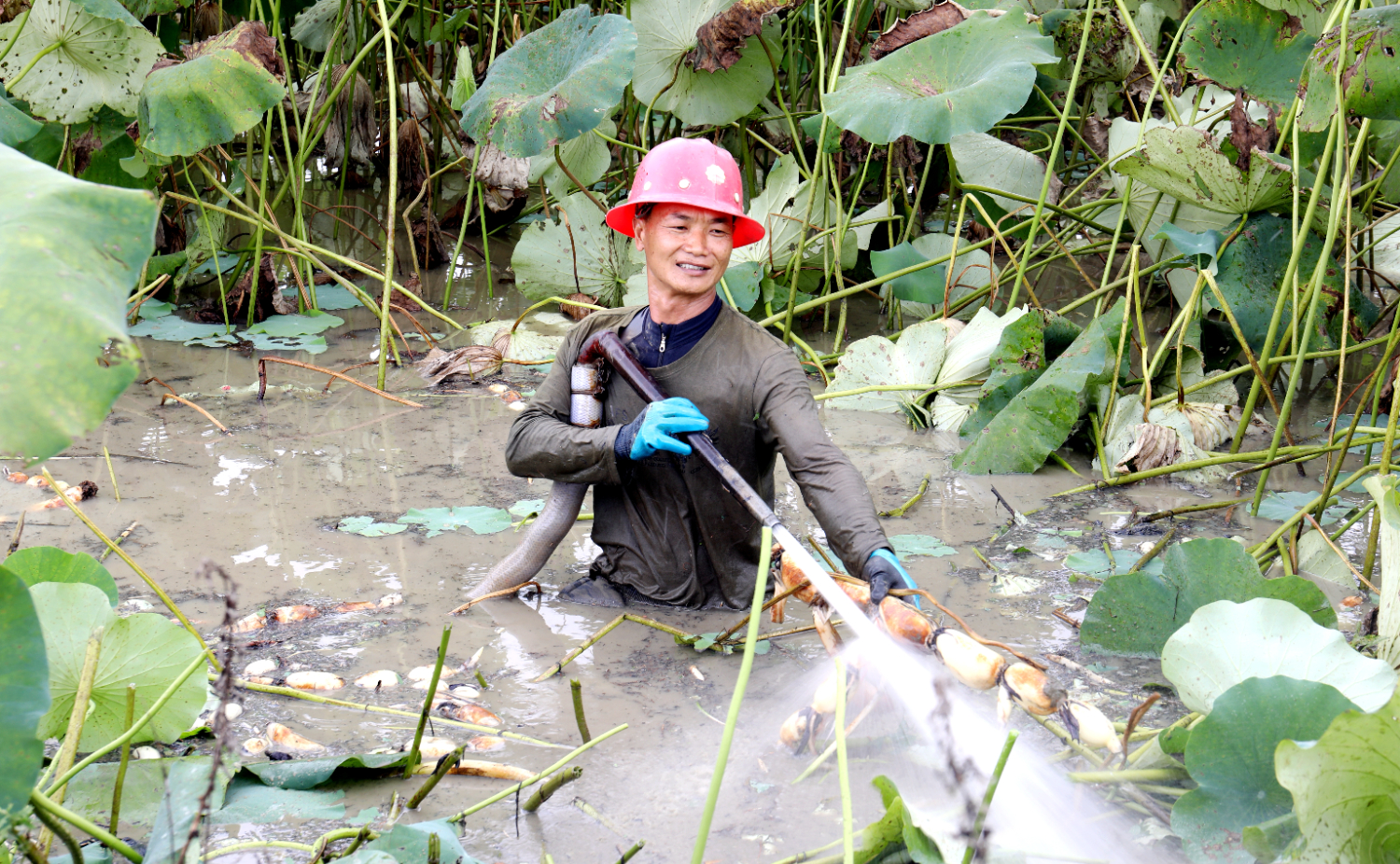 6ad9f5bfe5c446089693b6f31bccad4c.jpeg 6ad9f5bfe5c446089693b6f31bccad4c.jpeg