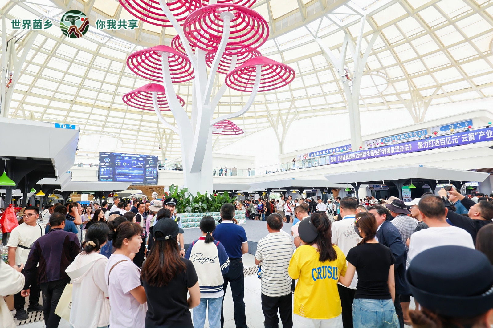 2-2.jpg 617ac809362344e89b2c123083e0267c.jpeg