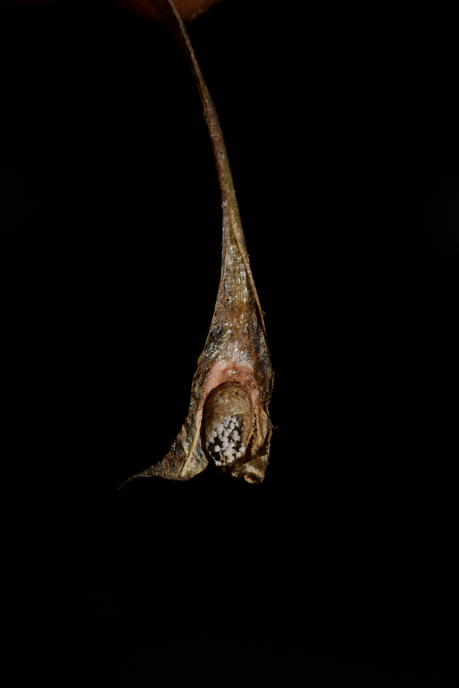 微信图片_20240812162546.jpg 1abb3f451c634ba3ab4b1d2c09106e07.jpeg