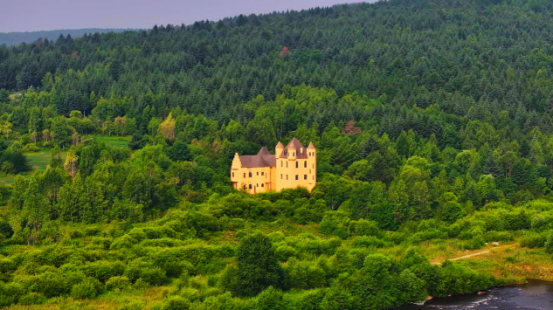 大美龙江等你来 伊春康养之旅 推文 定稿1269.png 90bccc97e942463aafb9bdfbb855f28d.png