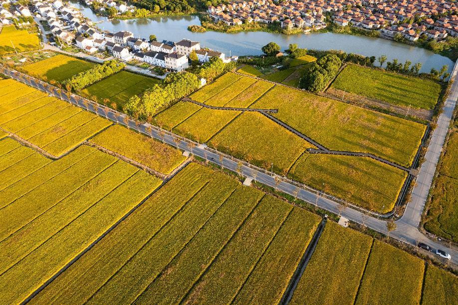 6c23c0cee120446584b8ad4728d5f3c9.jpeg 6c23c0cee120446584b8ad4728d5f3c9.jpeg