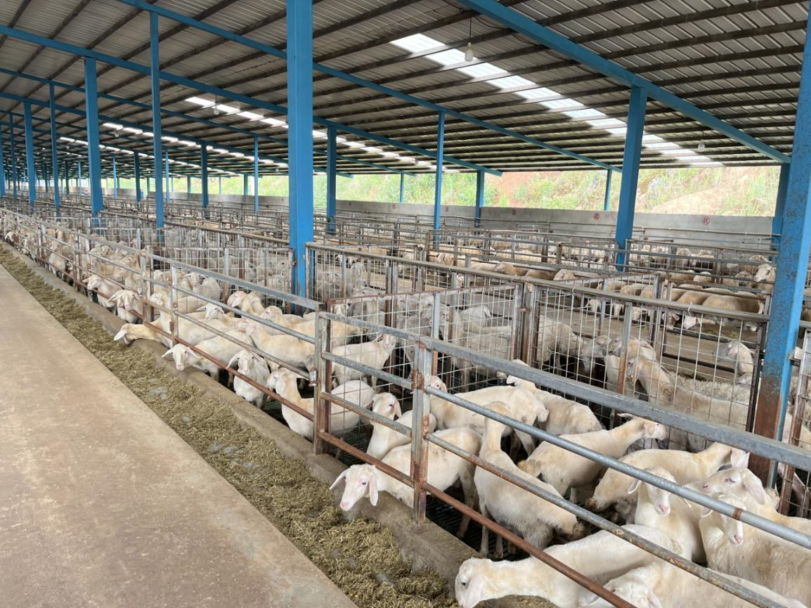 图片1.png 6f45300d2725403ba78f491cbe629edc.png