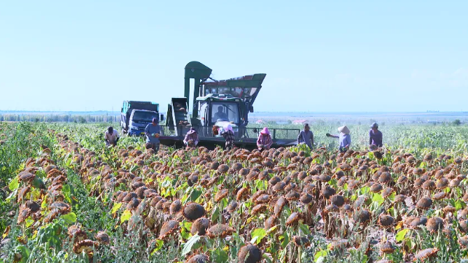 253643578151432192.png 253643578151432192.png