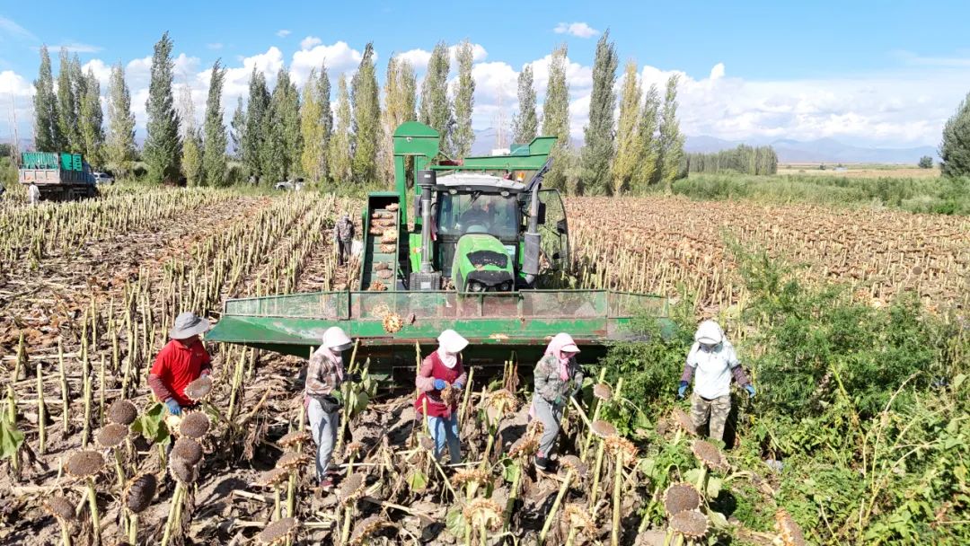 253643569636995073.jpg 253643569636995073.jpg