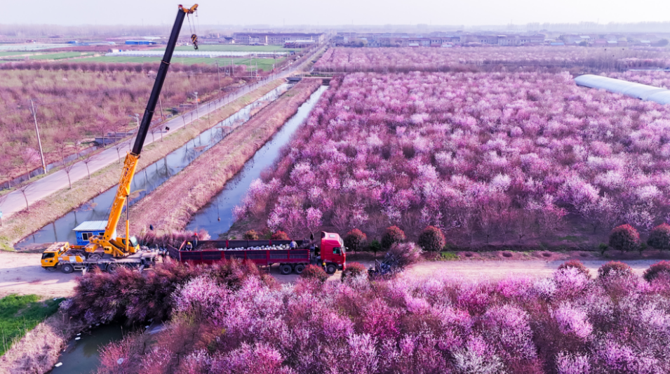 图片3.png f8167d26af394b1fa425a1c05d0885e5.png