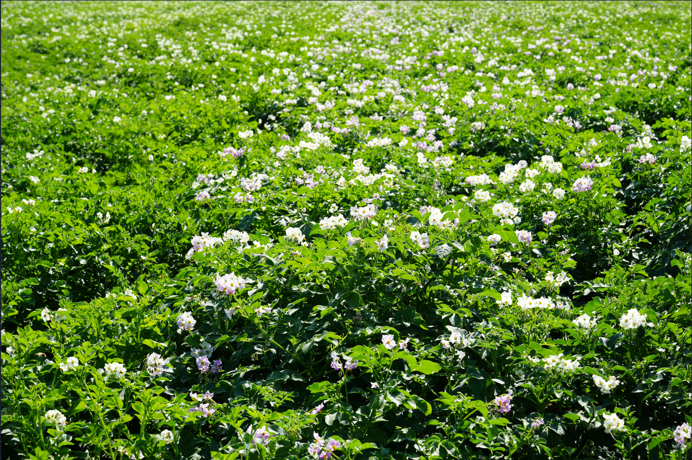 e82ce4680762163cc06a947966d29f3.png e82ce4680762163cc06a947966d29f3.png