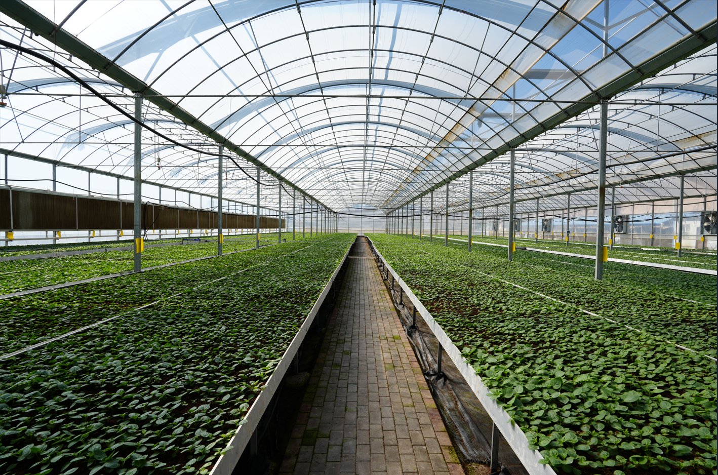 a5d0bca40779a303679fef92bb4a3bf.png a5d0bca40779a303679fef92bb4a3bf.png