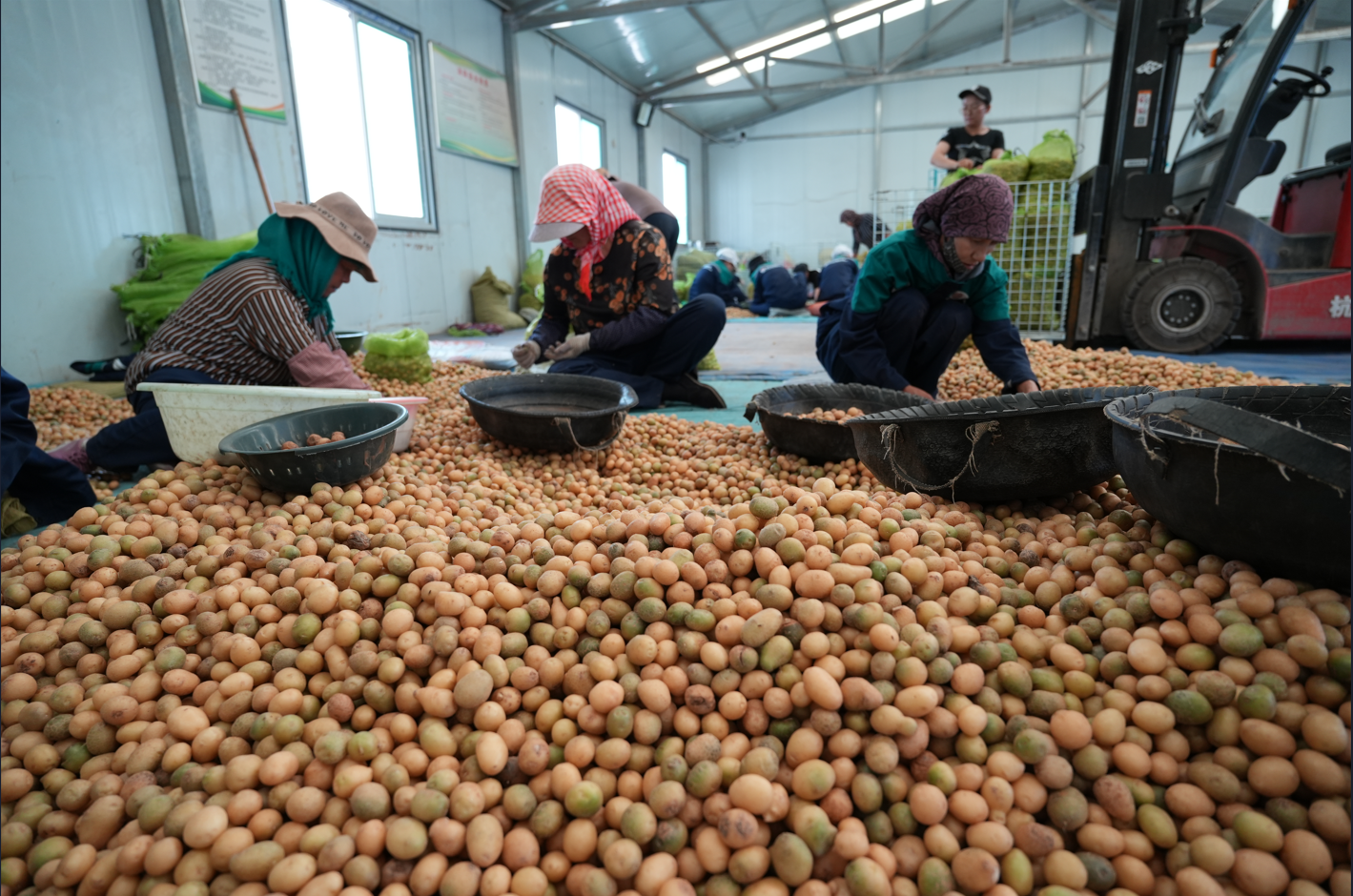 0911bdb2899a20bde5327b82f626990.png 0911bdb2899a20bde5327b82f626990.png