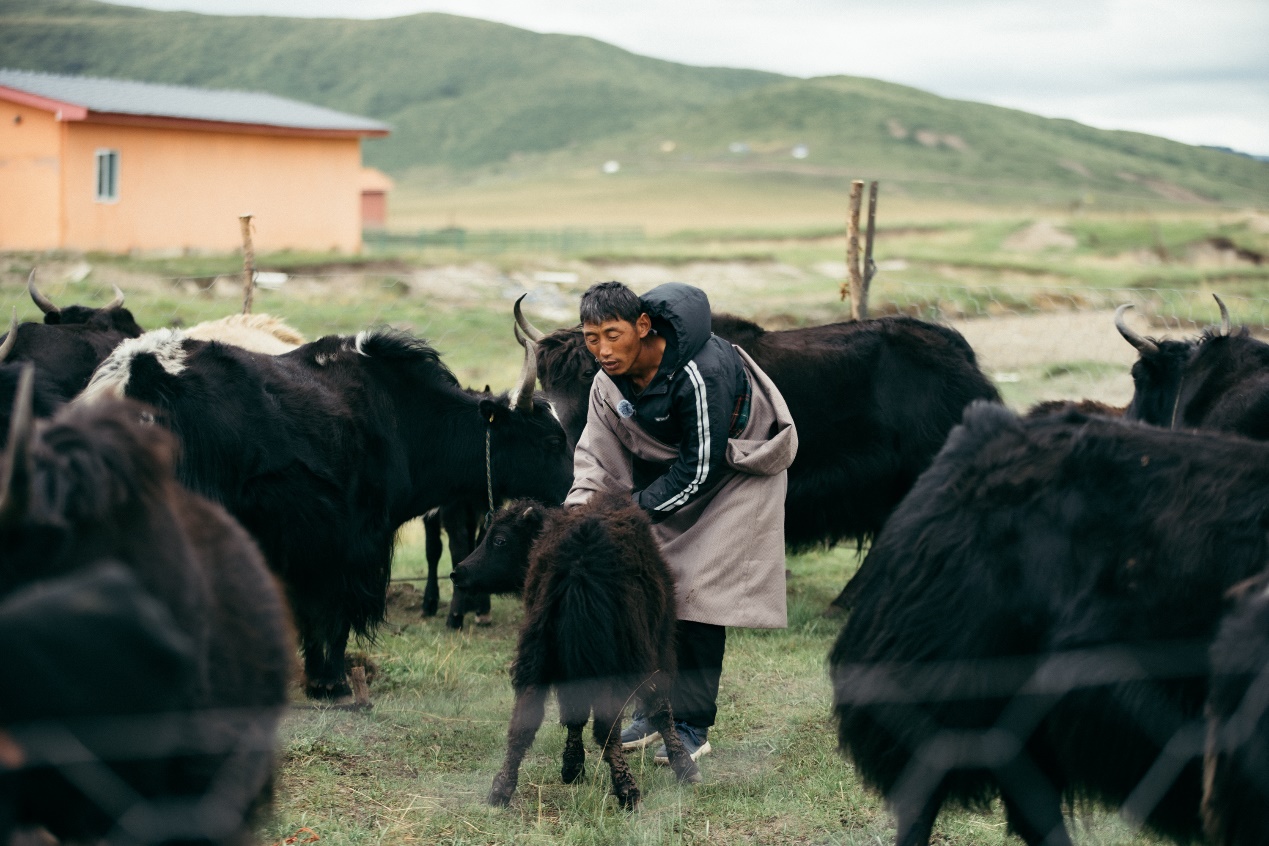 ea8bf6916d0d432caa23be3ed01839ad.jpeg ea8bf6916d0d432caa23be3ed01839ad.jpeg