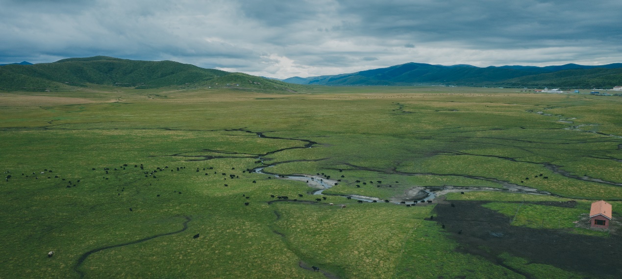 82f80b05f92a4adbadece2a4723857f4.jpeg 82f80b05f92a4adbadece2a4723857f4.jpeg