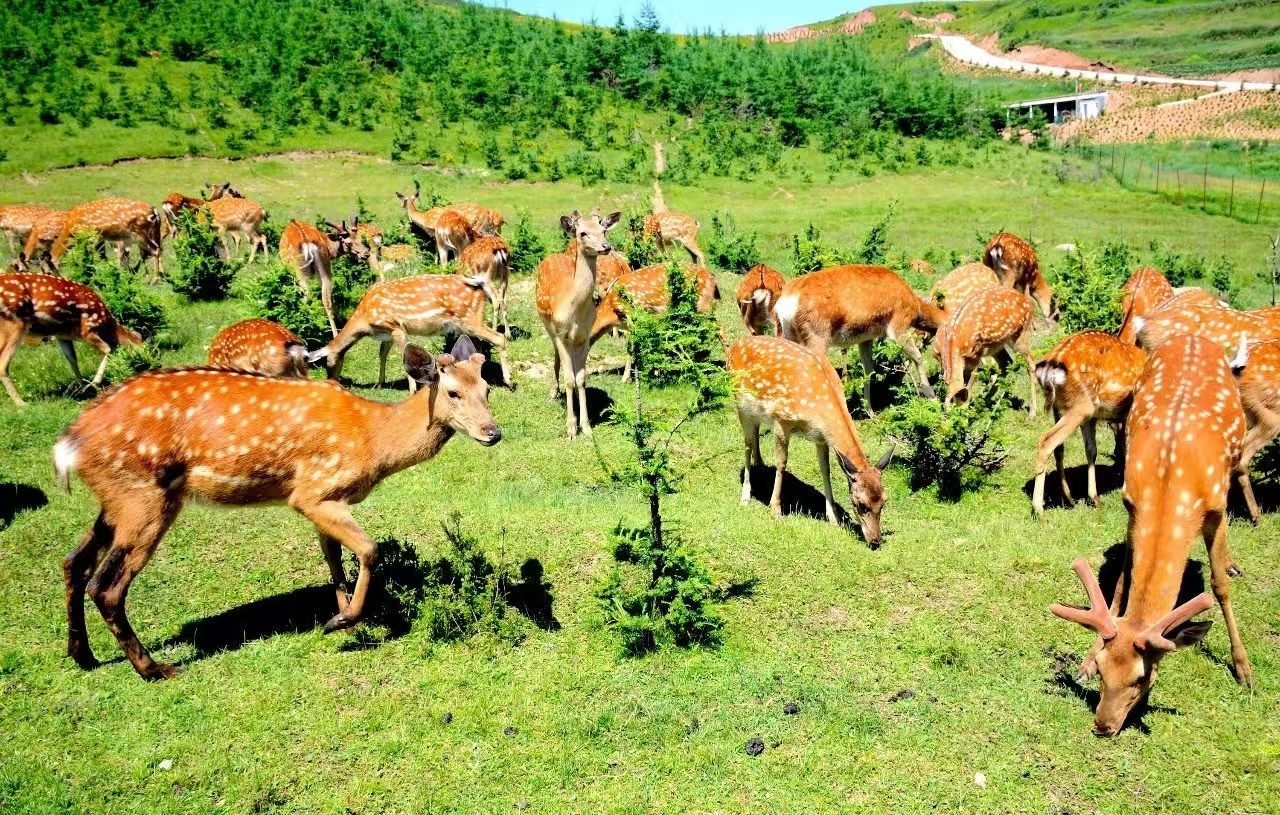 元古堆村.jpg 28473e0275c54ad08f4dc56e970e2641.jpeg