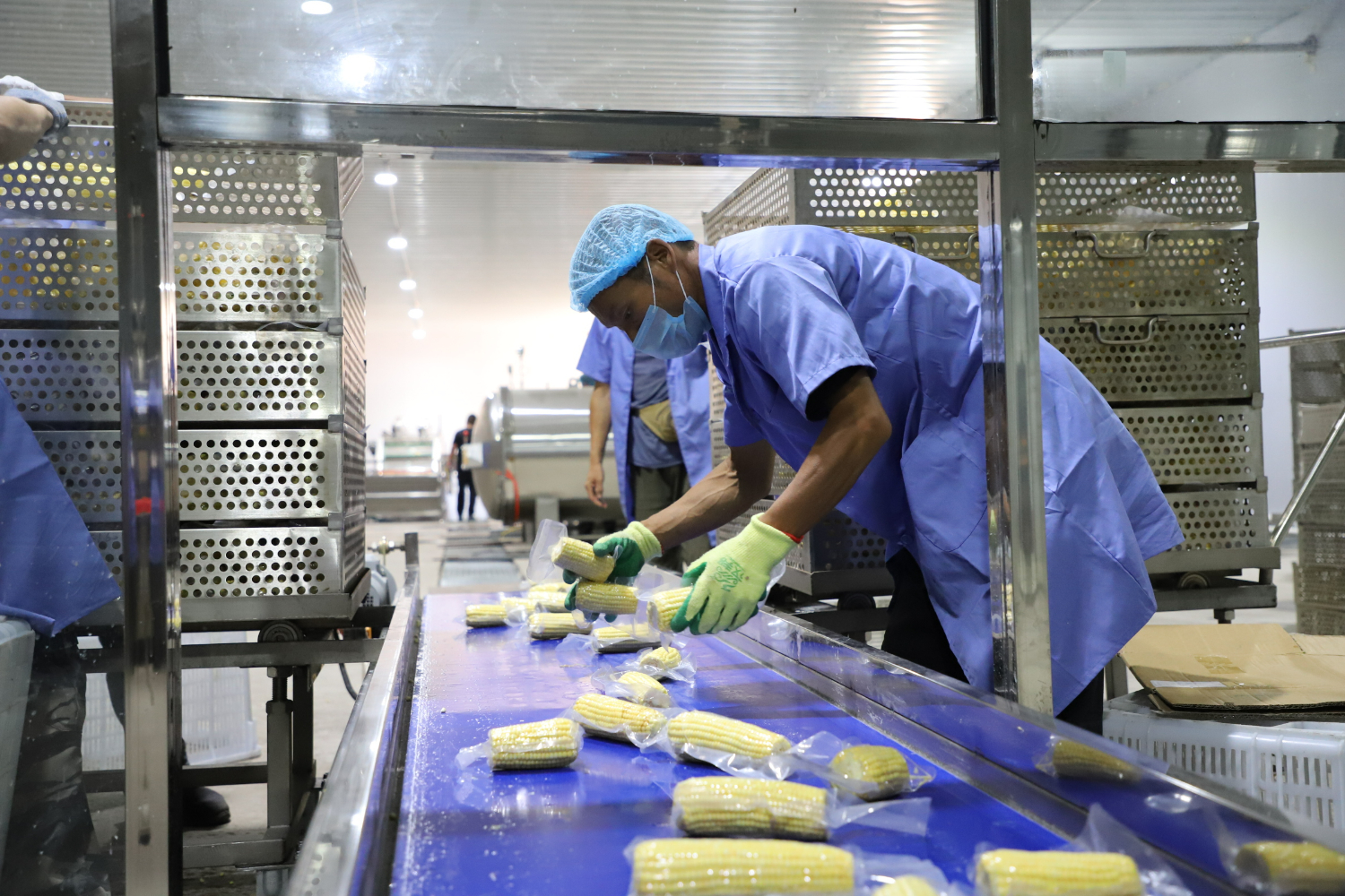 fd1fca9b3a174a148e5d27fbf888bc2e.jpeg fd1fca9b3a174a148e5d27fbf888bc2e.jpeg