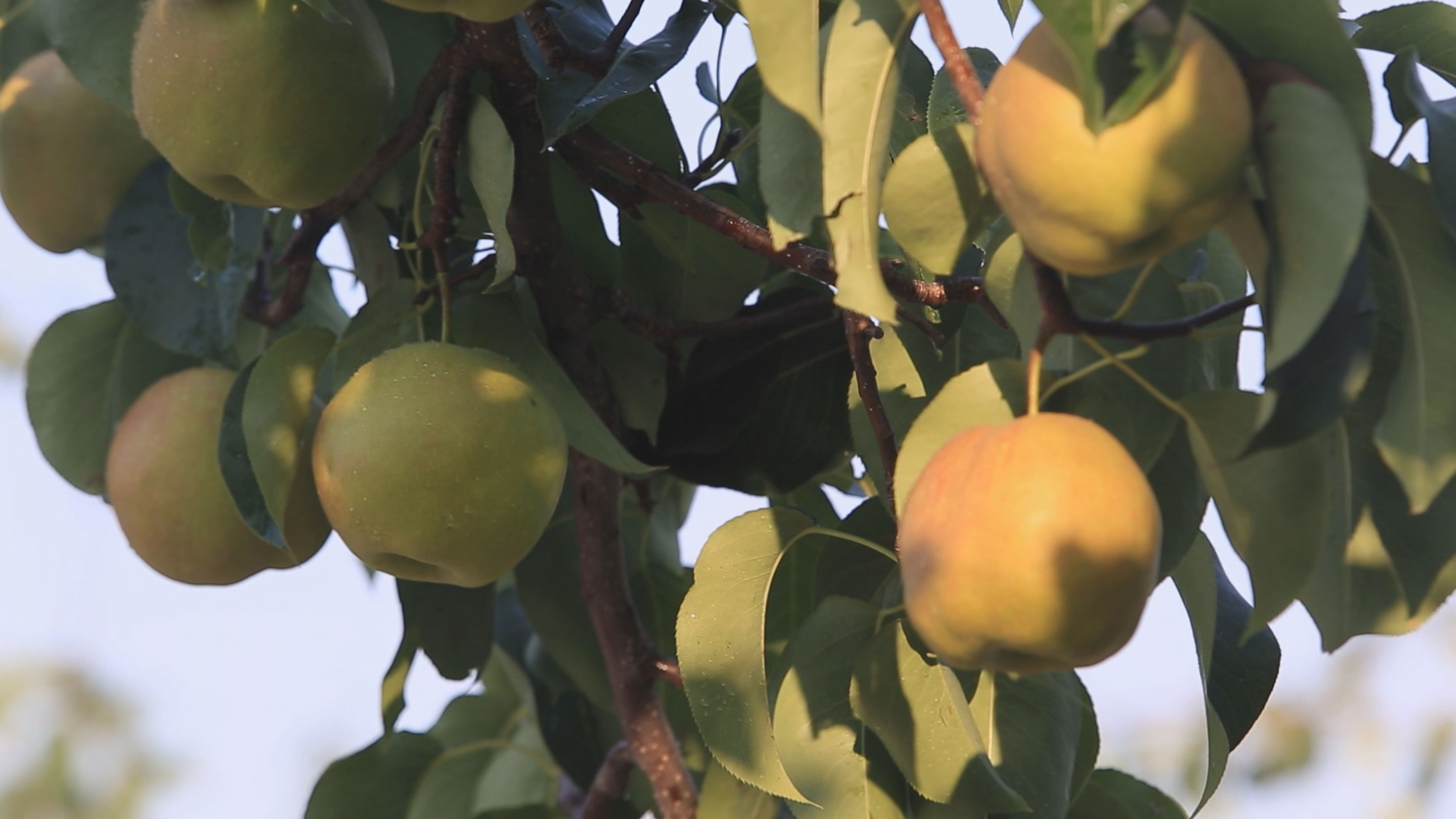 微信图片_20240913165952_副本.jpg 微信图片_20240913165952_副本.jpg