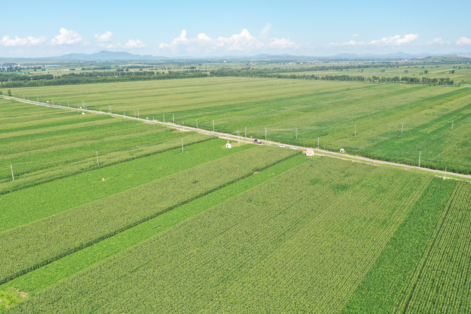 8e3dc2e1729e4aac893dc6d1b4290618.jpeg 8e3dc2e1729e4aac893dc6d1b4290618.jpeg