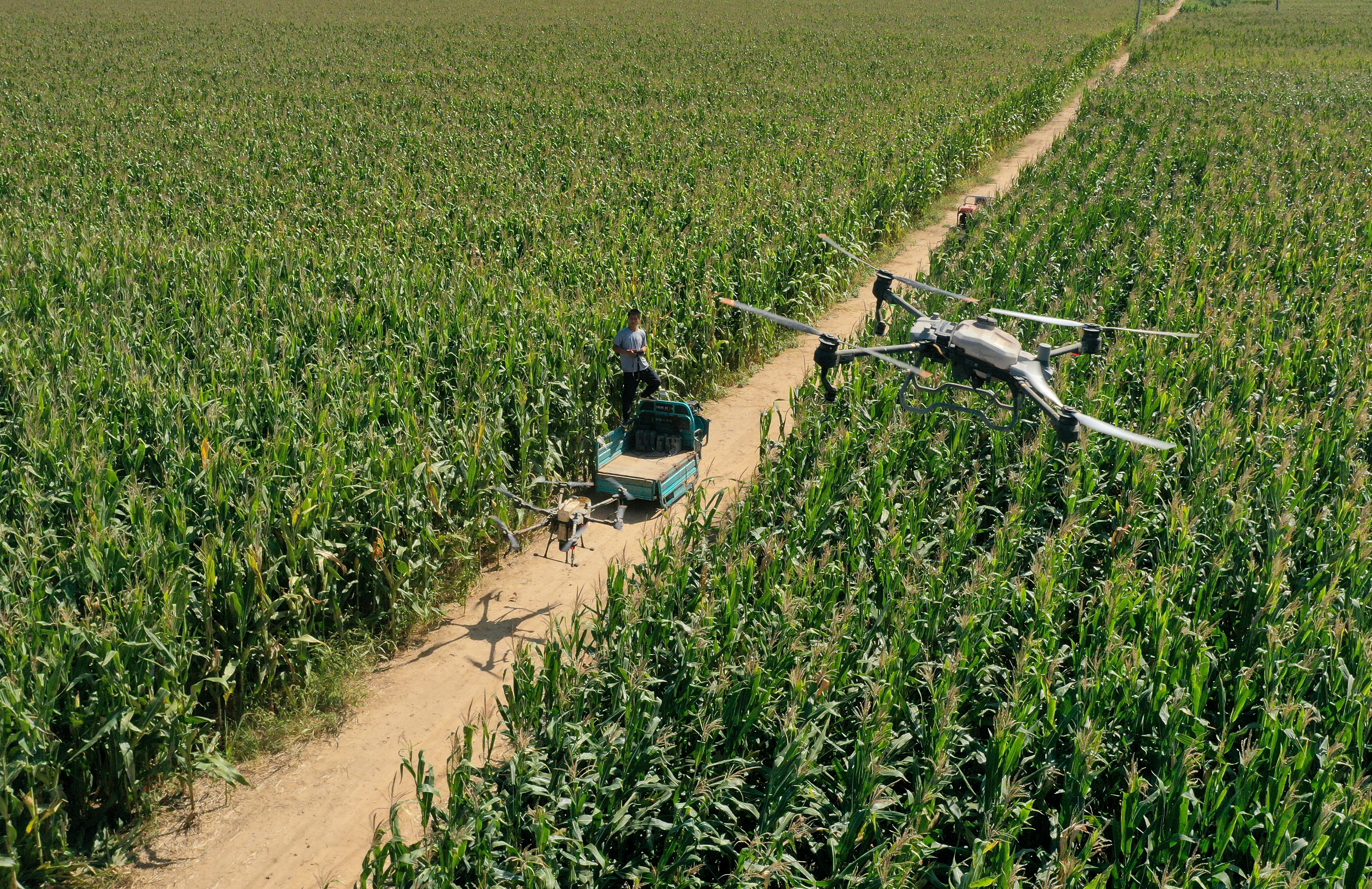 261603394383900673.jpg 261603394383900673.jpg