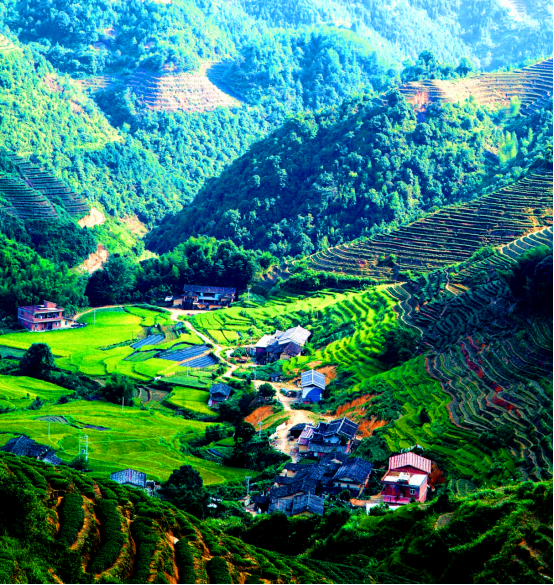 图片1.png eac62ba401874bae9a7603f321156bd9.png