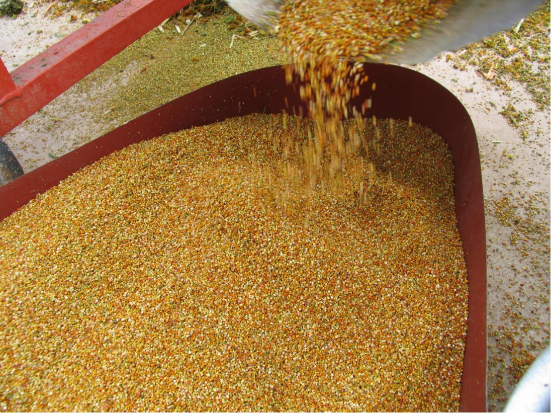 0878a8ebed1a4d94bcb3adba2f8f20f7.png 0878a8ebed1a4d94bcb3adba2f8f20f7.png