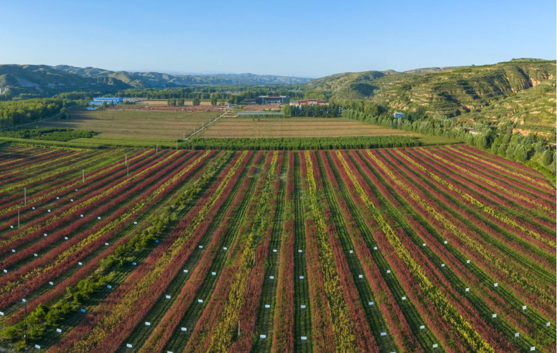 f24f96a1c6f644cfac2f2499b83ccb44.png f24f96a1c6f644cfac2f2499b83ccb44.png