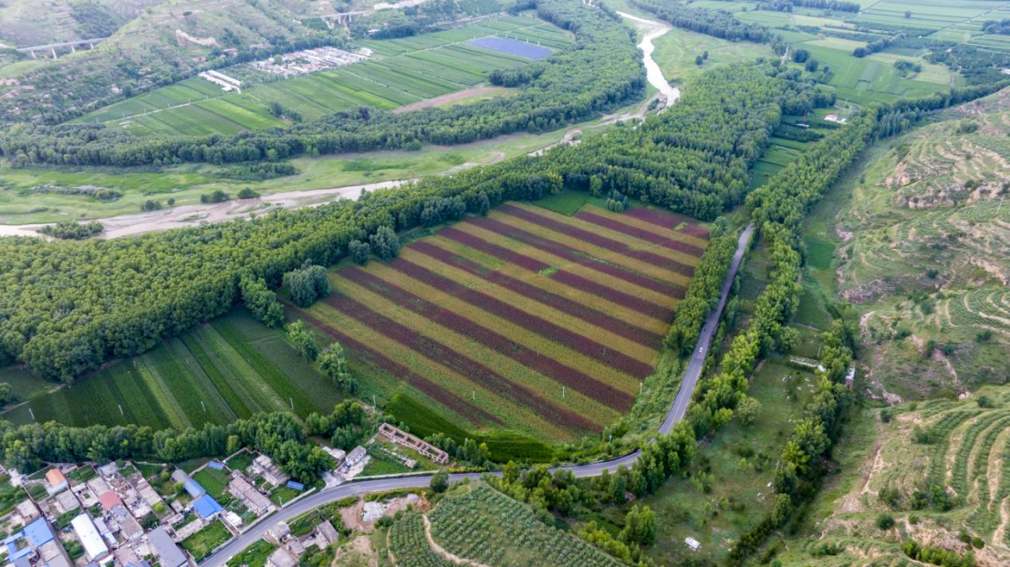 65eb731be22344dd833a07ea1d5f6f61.png 65eb731be22344dd833a07ea1d5f6f61.png