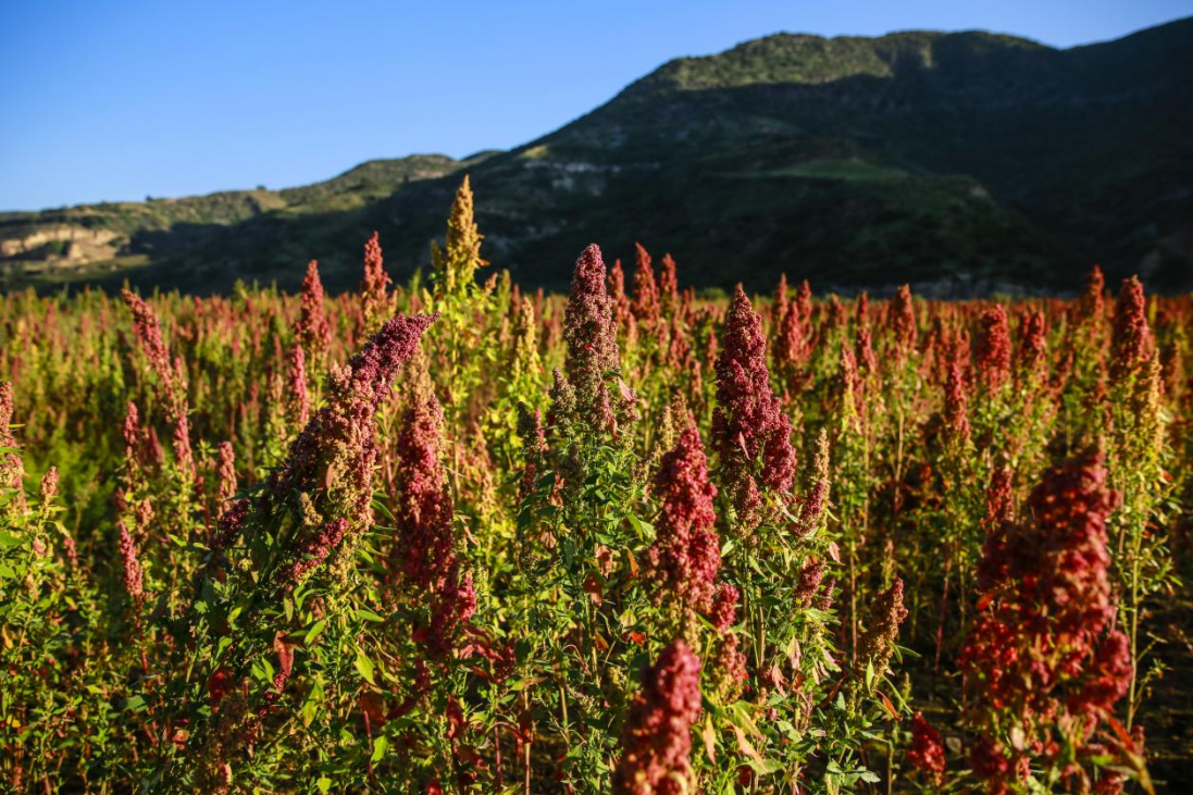 fe01154e53b545bc9bdb34f36f5b96cc.png fe01154e53b545bc9bdb34f36f5b96cc.png