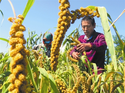 t01b2940b4a194484cf.jpg t01b2940b4a194484cf.jpg