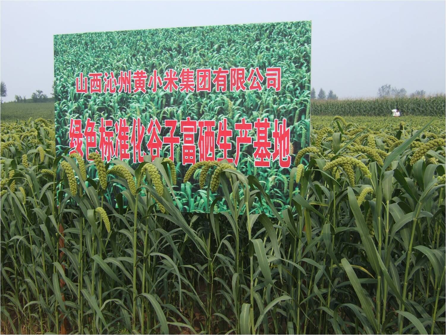 7d570945c9af4d0ab6d2d0b75e20270c_th.jpg 7d570945c9af4d0ab6d2d0b75e20270c_th.jpg